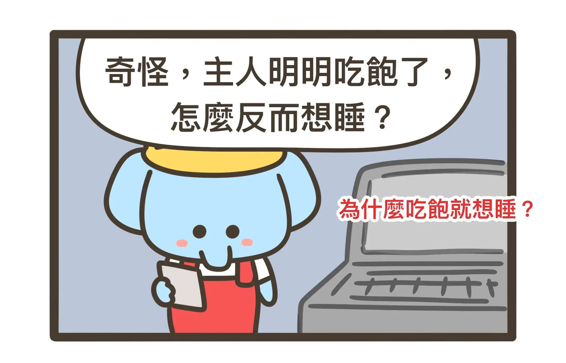 No.2 為什麼吃飽就想睡