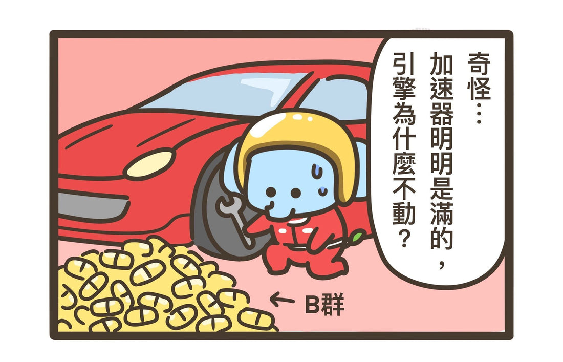 No.6 沒吃飯的B群