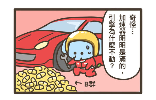 No.6 沒吃飯的B群