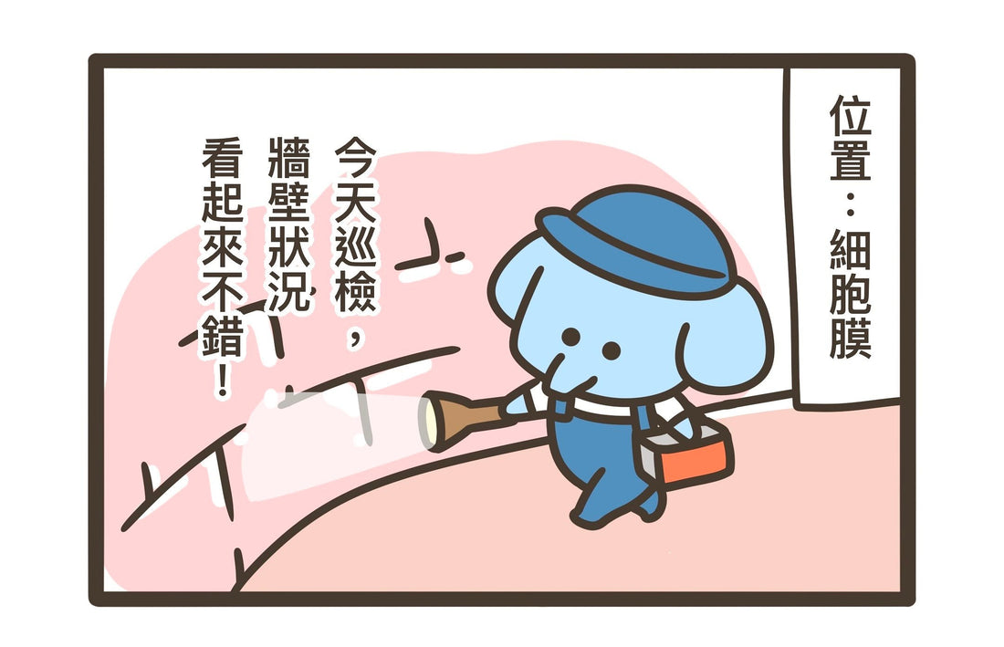 No.8 牆壁的巡檢日